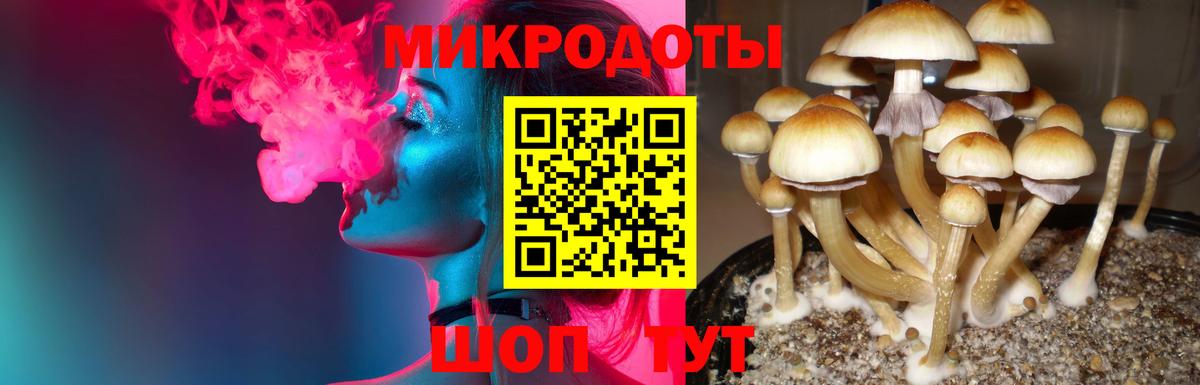 Екатеринбург  Псилоцибиновые грибы мухоморы  Вход с VPN 